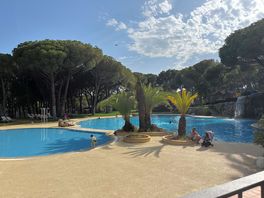 View of the gorgeous pool from the bar/restaurant.