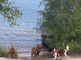 Bawsey lake