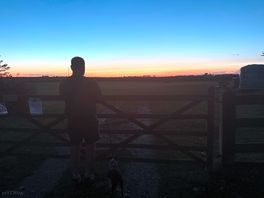 Evening sunset on the site