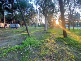 Shaded pitch