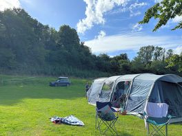 Fab level pitches
