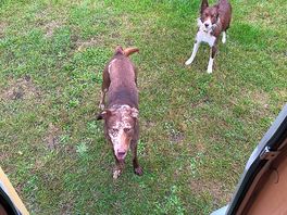 Taran with his new best friend flora