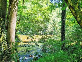 La rivière