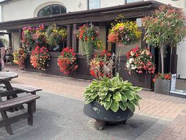 Flowers beautifully kept