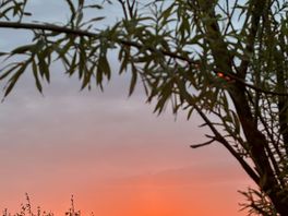 Sunset view