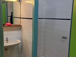 Un espace douche et lavabo