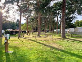 Grass pitches with trees