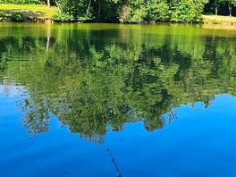 Field lake
