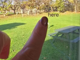 A12 right behind the trees so you saw all the vehicles passing and noisy