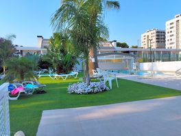 Piscina solo adultos perfecta para terminar el día relajado