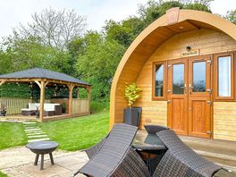 Bluebell pod with her new gazebo