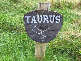 Our chosen site