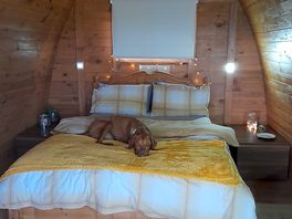 Dog friendly and fully furnished