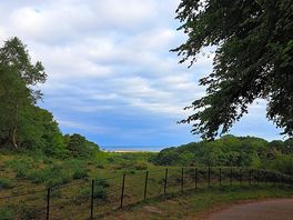 Sherringham park from the cut through from the camp site