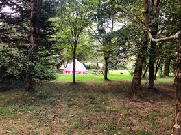 View across the hammock area