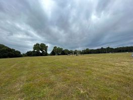 Field view