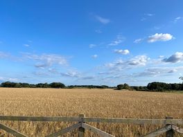 Sunny sky