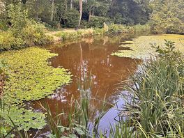 Fishing pond