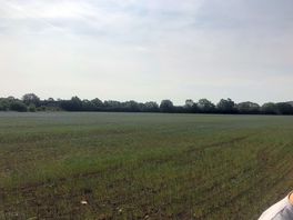 Field