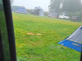 Before the sun broke through the mist