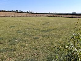 Dog exercise area