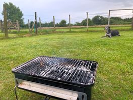 Bbq