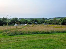 Wild meadow camping