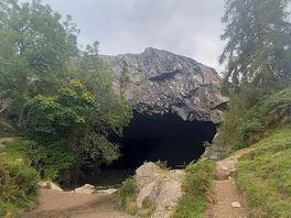 Local area