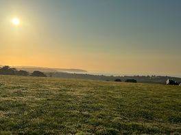 Sun rise