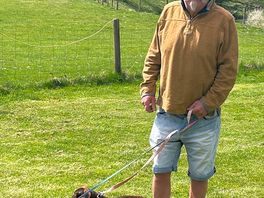 Our dogs loved it x