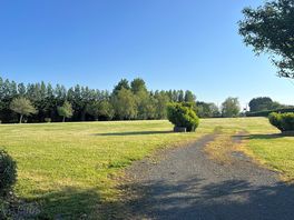 General main field view