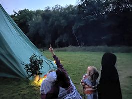 Bat watching