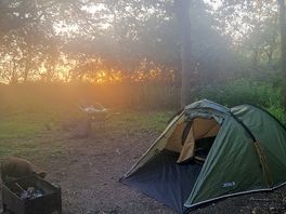 Lovely woodland pitch