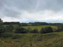 Beautiful view