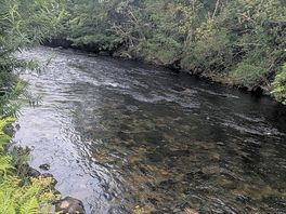 So peaceful