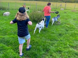 Friendly animals and owner!