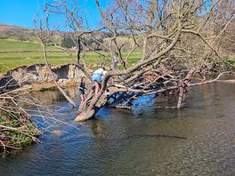 Stream on site