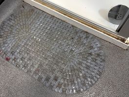 There is only one shower in the ladies and this is it