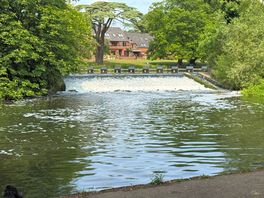 A view from the walk from the site to town