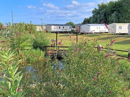The pond