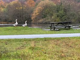 Lake near the campsite