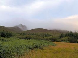 Surrounding area