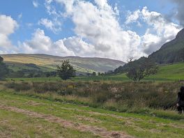 View from our pitch at the bottom of the site