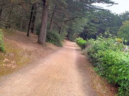 Nice area for running