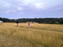 Walking around the site