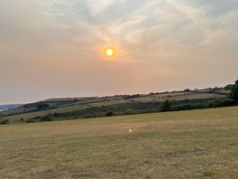 Evening sunset