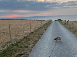 Sunset from the lane up to the campsite