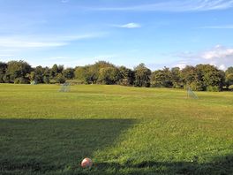 Adult field