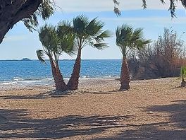 The beach.