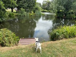One of the lakes